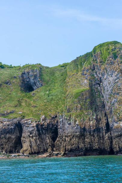 Колония морских птиц на острове Калди в Уэльсе - Фото, изображение