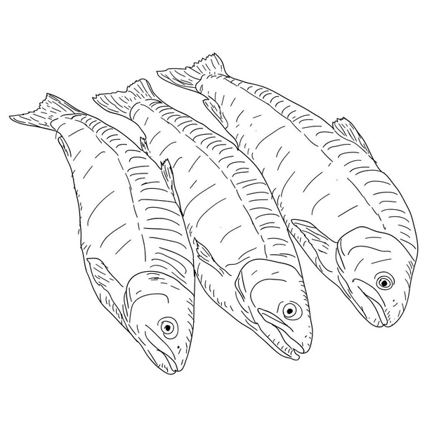 колекція натуральної морської риби на білому тлі
. - Вектор, зображення