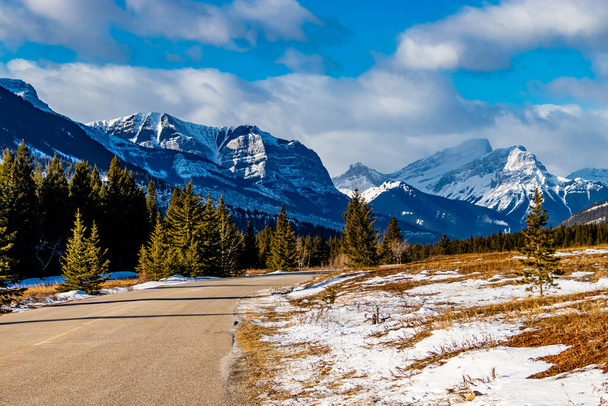 On the road in the park. Bow Valley Provinical Park, Alberta, Canada - Foto, imagen