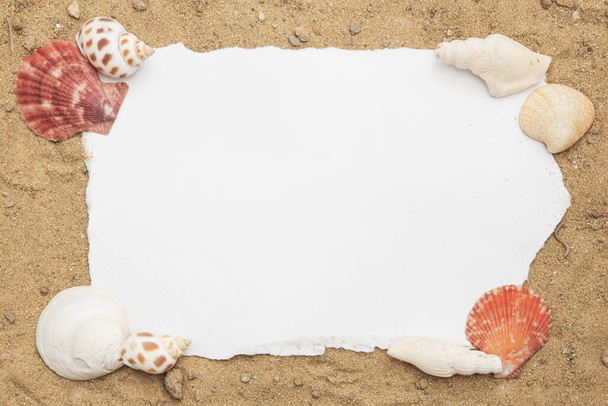 Blank paper concept for text with frames adorned with shells on a sandy background. - Foto, Imagen