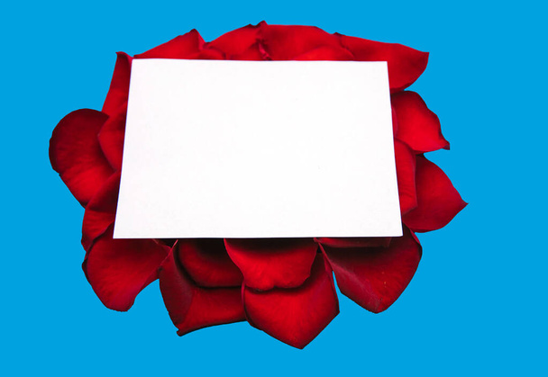 White frame empty, red rose petals on a blue background, top view. Beautiful floral pattern.Space for text.Gift card. - Foto, immagini