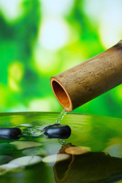 Kylpylä asetelma bambu suihkulähde, kirkkaalla taustalla
 - Valokuva, kuva