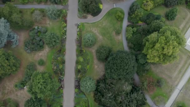 4k antenni pystysuora näkymä jälkeen polku pensaita ympäri Kew Gardens - Materiaali, video