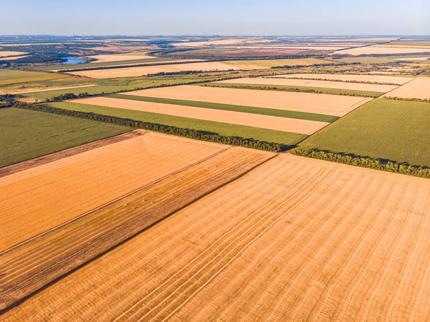 Paisaje aéreo de la granja de verano campo de trigo - Foto, imagen