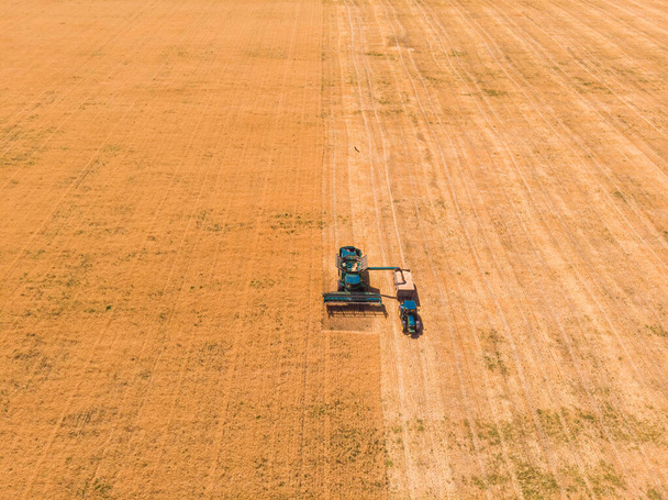Машина для сбора урожая работает в поле. Комбайновые машины для сельского хозяйства, собирающие пшеничное поле золотого созревания. - Фото, изображение