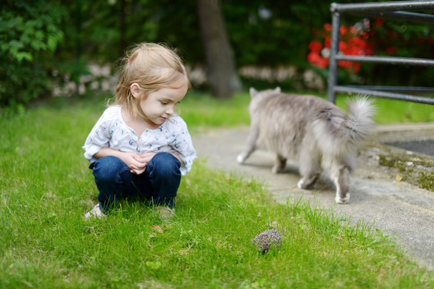 A girl looking at a hedgehog - Photo, Image