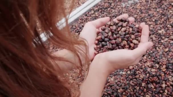 香りを楽しむ新鮮なコーヒー豆の一握りを拾う無名の女性のクローズアップ - 映像、動画