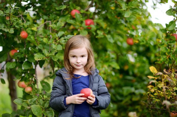 Pieni tyttö omenan kanssa omenapuun luona
 - Valokuva, kuva