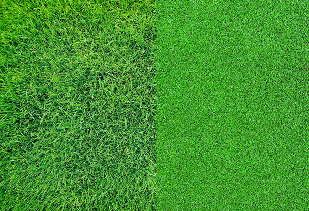 Green grass background texture - Photo, Image