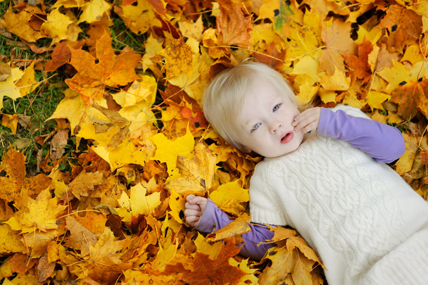 Adorable toddler girl laying on maple leaves - Фото, зображення