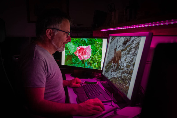 Man die 's avonds achter de computer werkt, verlicht door violet licht - Foto, afbeelding