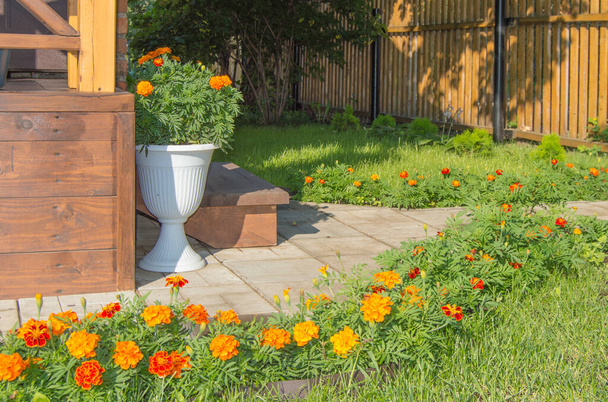 Beautiful design of the backyard with a porch, floor vase, new wooden fence, lawn and blooming marigolds, Sunny summer day. - Photo, Image