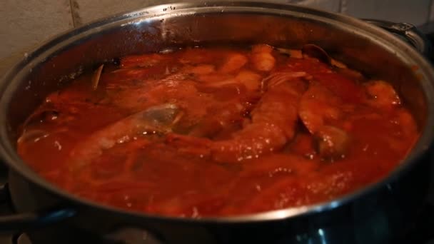 Fischsuppe mit Meeresfrüchten kochen - Filmmaterial, Video