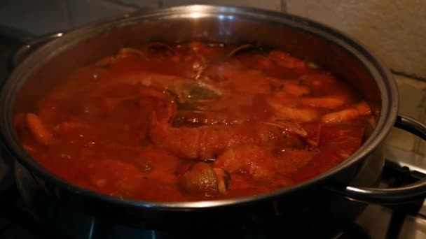cocinar sopa de pescado con mariscos - Imágenes, Vídeo
