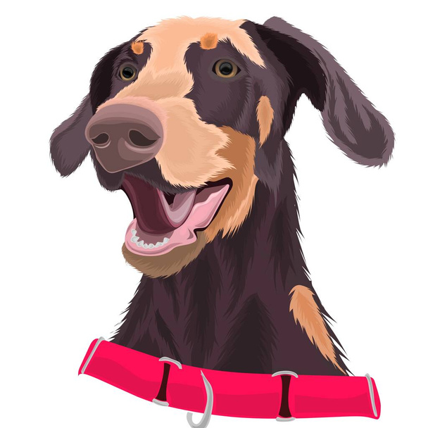 schattig bruin hond gezicht vector ontwerp - Vector, afbeelding