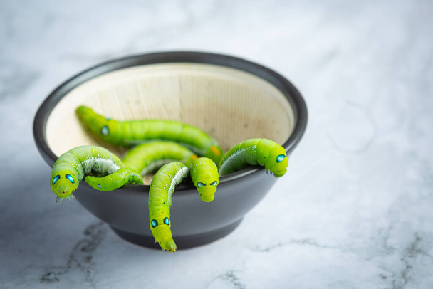 green worms in black small bowl - Photo, Image
