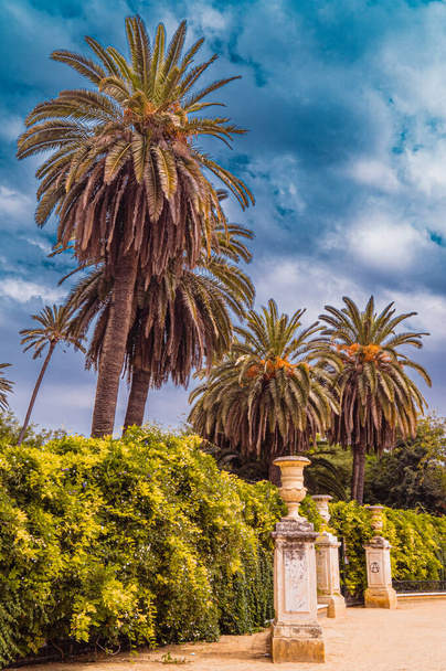 Jardines de Murillo in Seville summer Park scene - Фото, изображение