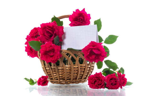 bouquet of beautiful red roses isolated on white background - Foto, Imagen