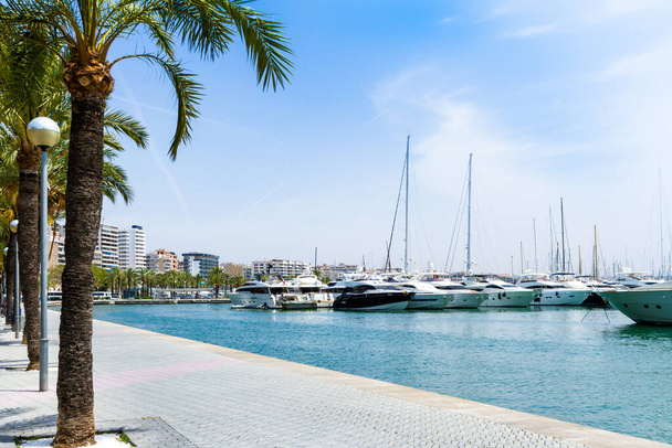 Palma de Mallorca Carrer Del Moll marina skyline with yachts - Фото, зображення