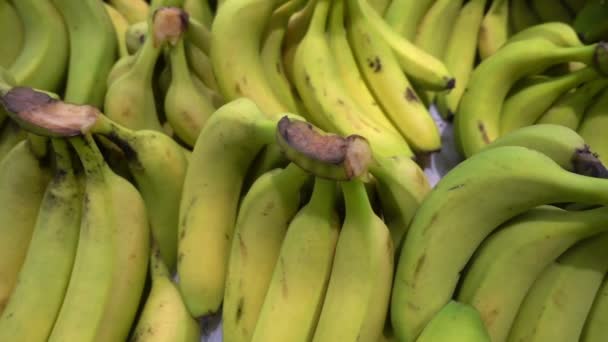 Montón de plátanos amarillos en el mostrador del mercado. - Metraje, vídeo