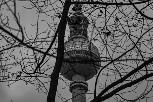 Der Berliner Fernsehturm hinter Zweigen im Winter in Schwarz-Weiß - Foto, Bild