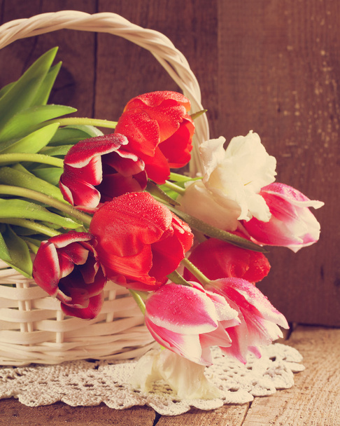 Tulip flowers - Фото, изображение