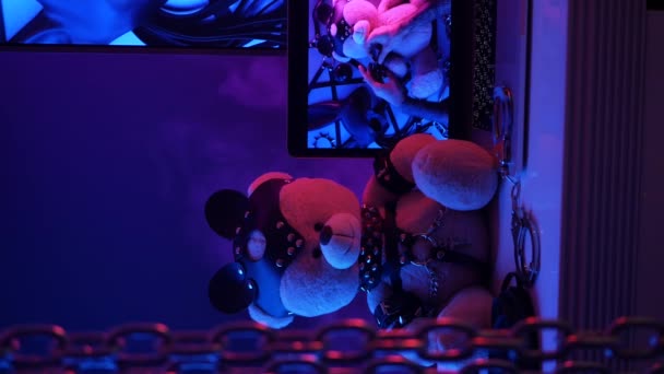 іграшковий ведмідь у шкіряному аксесуарі для ігор БДСМ поруч з ноутбуком ТБ в неонових кольорах вертикальне відео
 - Кадри, відео