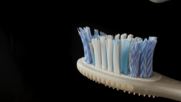 Распространение зубной пасты на зубной щетке. Макро-план. Черный ключ. Чёрный фон - Кадры, видео