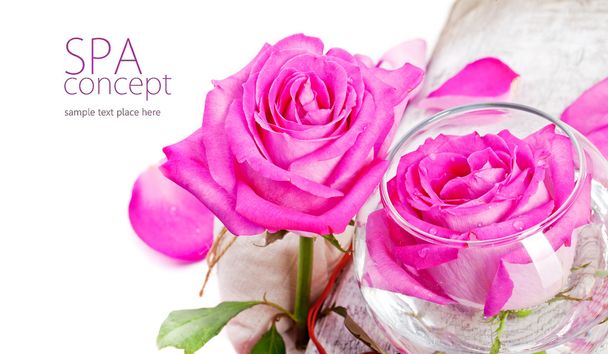 Pink roses - Fotó, kép