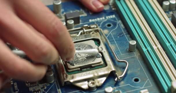 De reparateur reinigt de CPU van de laptop van het oude thermisch vet. Elektronica en computerconcepten dienst. Reparatie van computerborden - Video