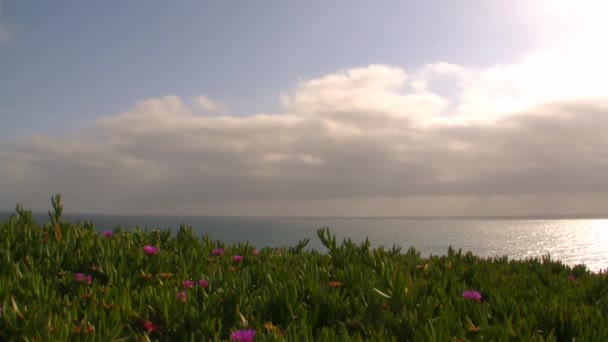 サンディエゴのビーチの雲 - 映像、動画