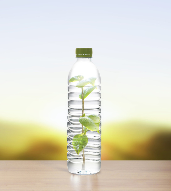 Polycarbonat-Plastikflaschen aus Mineralstoffrecycling - Foto, Bild