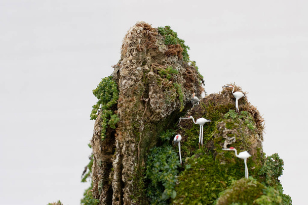Bonsaï et Penjing avec miniature dans un plateau comme pour dire dans la vie humaine - Photo, image