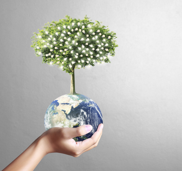 проведення світиться глобус Землі (НАСА) і дерева в руці - Фото, зображення