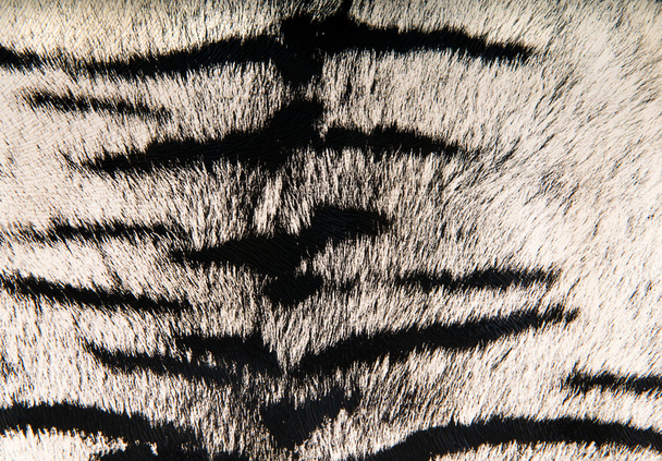 Imitation of tiger leather as a background - Photo, Image