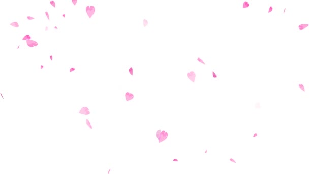 vaaleanpunainen sakura jättää hiukkasia putoamassa pyörre ja haalistunut hidas lasku ja haalistunut lopulta - Materiaali, video