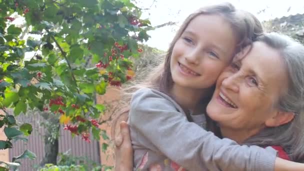Senior grandmother with gray hair wearing red sweater with her little granddaughter are hugging in the garden and during sunny day outdoors, mothers day - Footage, Video