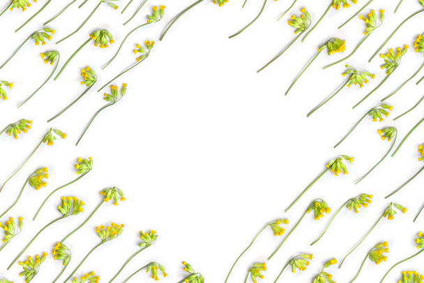 Flores amarelas Primula veris (cowslip, petrella, herb peter, paigle, peggle, flor chave, Primula officinalis Hill) em um fundo branco com espaço para texto. Vista superior, deitado plano. Ervas medicinais - Foto, Imagem