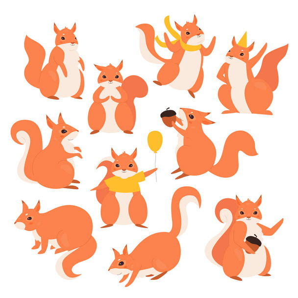 Mókus készlet, rajzfilm aranyos vicces szőrös mókus karakterek - Vektor, kép