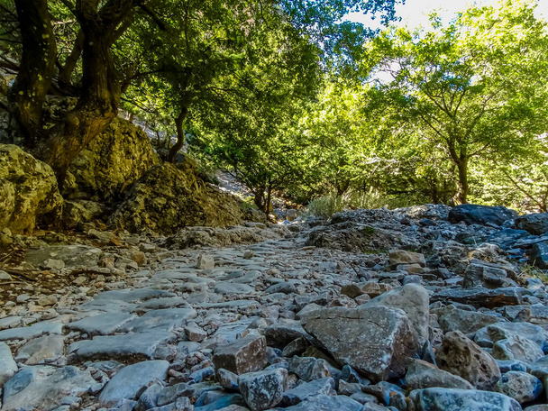 A low-level view of the trail in the Imbros Gorge near Chania, Crete on a bright sunny day - Фото, изображение