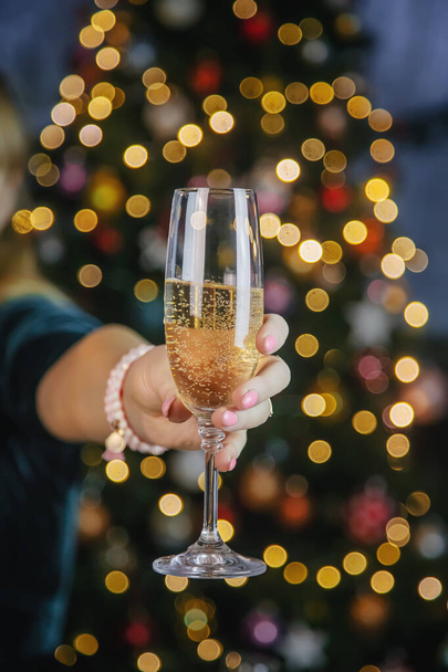 Champagne in mano sullo sfondo dell'albero di Natale. Concentrazione selettiva. Vacanze. - Foto, immagini