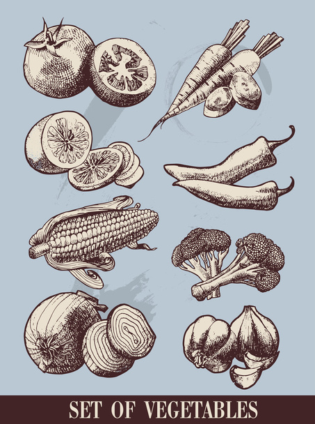 Set of vegetables - Vector, afbeelding