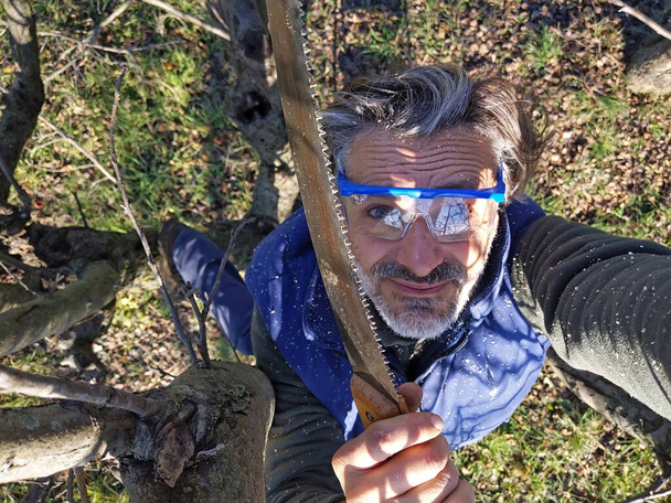 Взрослый кавказский мужчина обрезает дерево в саду - Фото, изображение