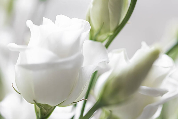 Bouquet floral comme cadeau, arrangement de fleurs de rose à la boutique de fleurs ou livraison en ligne, cadeau romantique et décor de luxe à la maison - Photo, image