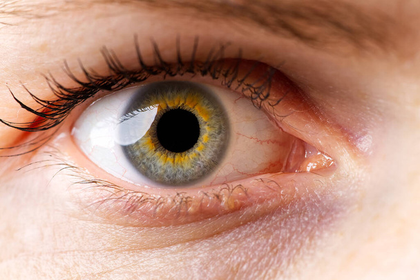 kobiece makro oko. makrofotografia ludzkiego oka - Zdjęcie, obraz
