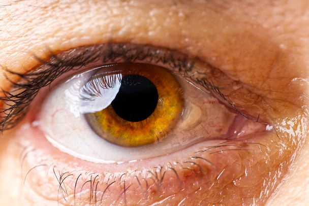 vrouwelijk macro-oog. macro fotografie van het menselijk oog - Foto, afbeelding