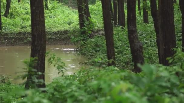 Les étangs, le moyen durable de capter l'eau - Séquence, vidéo