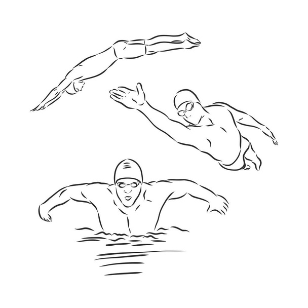 Nadador, rastejar, estilo livre - Desenho à mão imagem convertida em vetor - Vetor, Imagem
