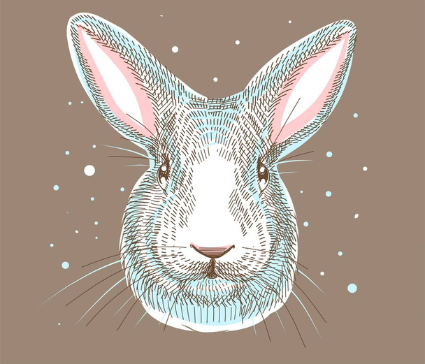 Color illustration, sketch drawn with markers. Domestic white rabbit, portrait of the head. All elements of the illustration are isolated, it is easy to change colors and backgrounds. - Vector, Image