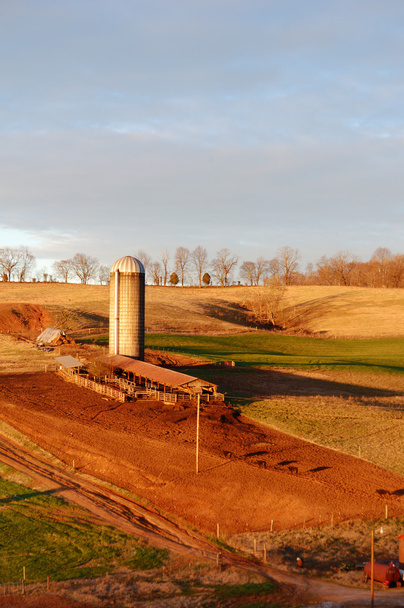 Teplý východ slunce na farmě dobytka - Fotografie, Obrázek
